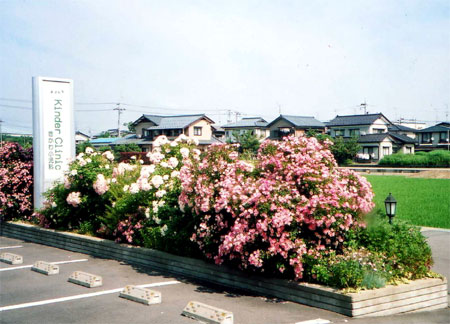 病院の花壇